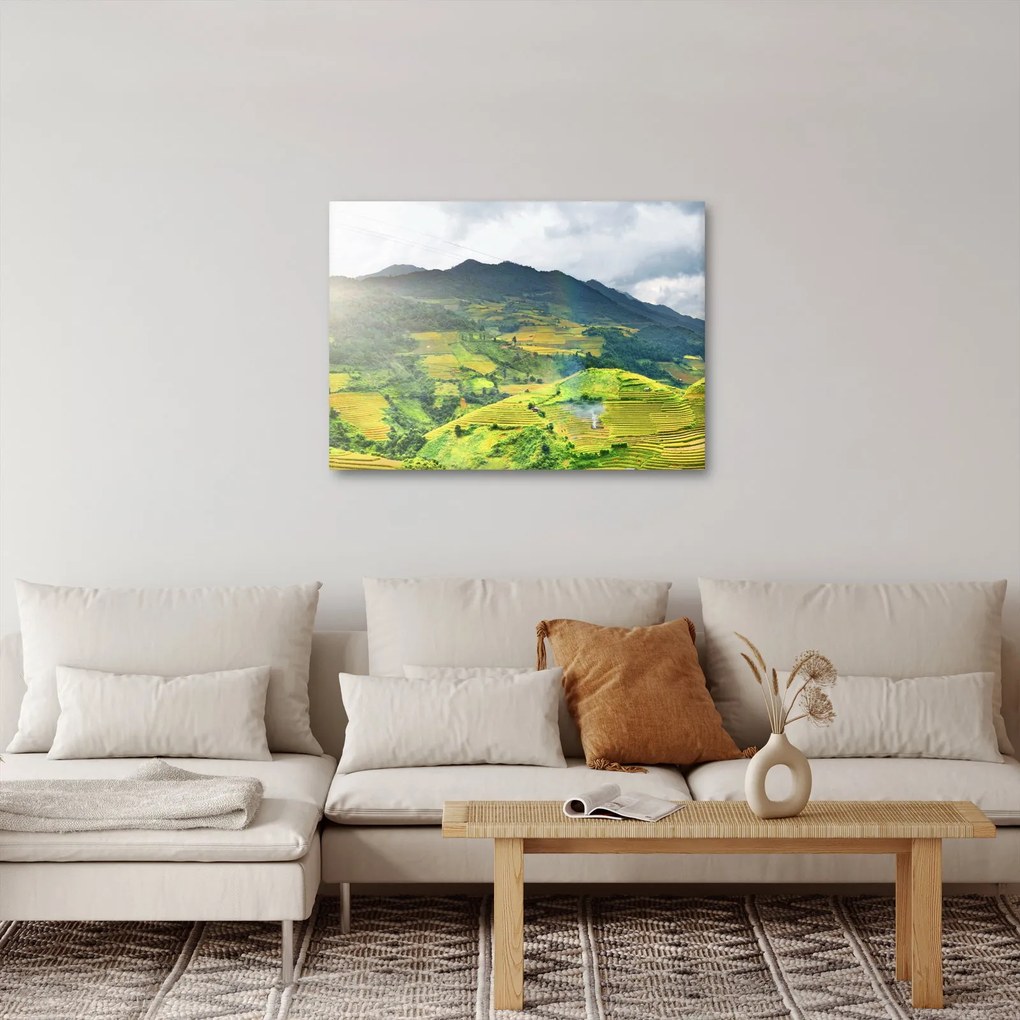 Obraz plantáže (70x50 cm)