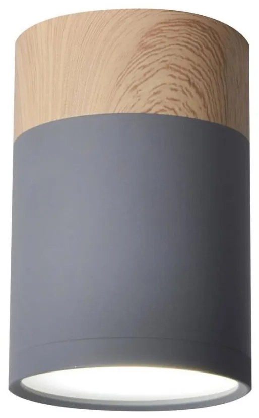 Stropné svietidlo TUBA GU10/15W/230V