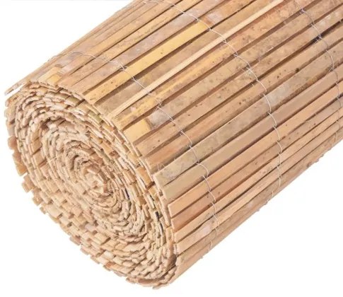 vidaXL Bambusový plot 1000x50 cm-