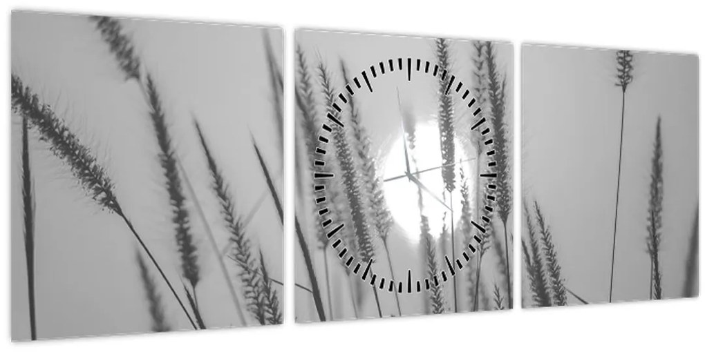 Obraz - Lúka pri západe slnka (s hodinami) (90x30 cm)