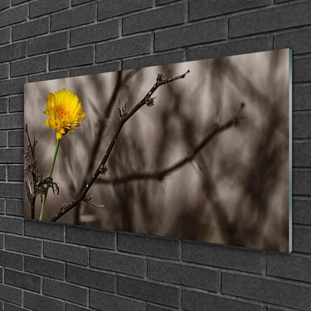 Obraz na skle Vetva kvet 100x50 cm