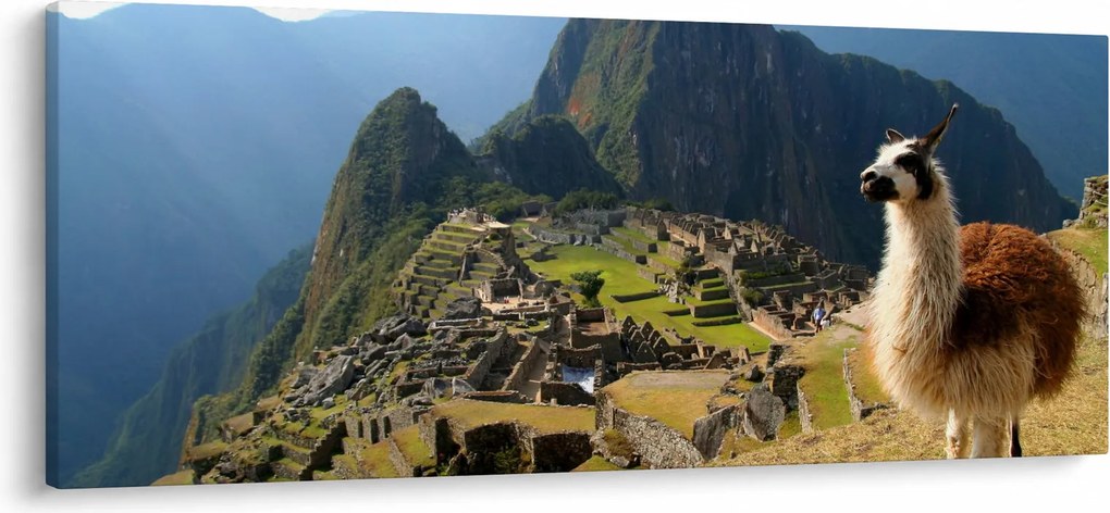Obrázok - Lama a Machu Picchu (120x50 cm)