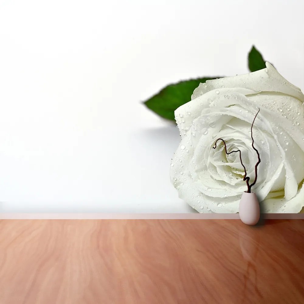 Fototapeta Vliesová Biela ruža 152x104 cm