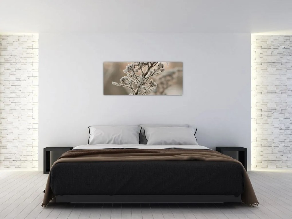 Obraz - Rastlina v mraze (120x50 cm)
