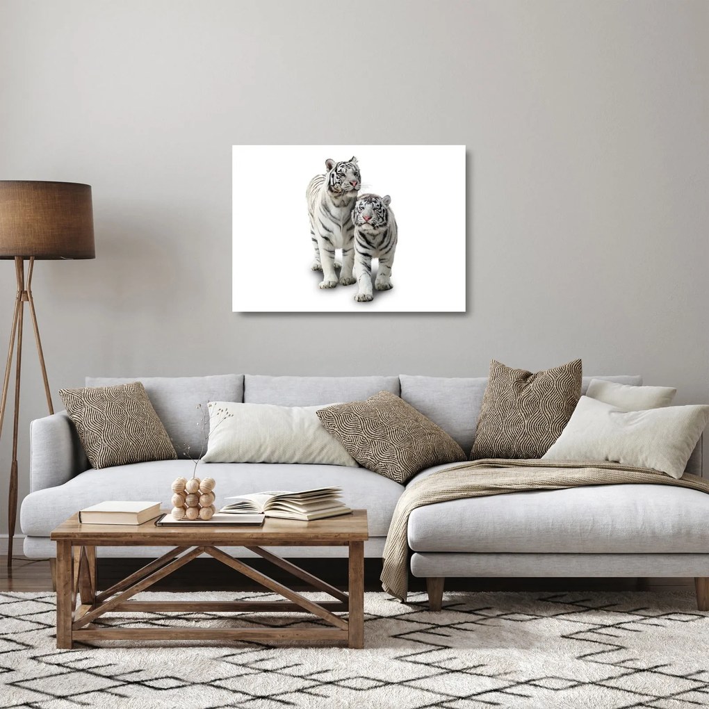 Sklenený obraz - Biely tiger (70x50 cm)