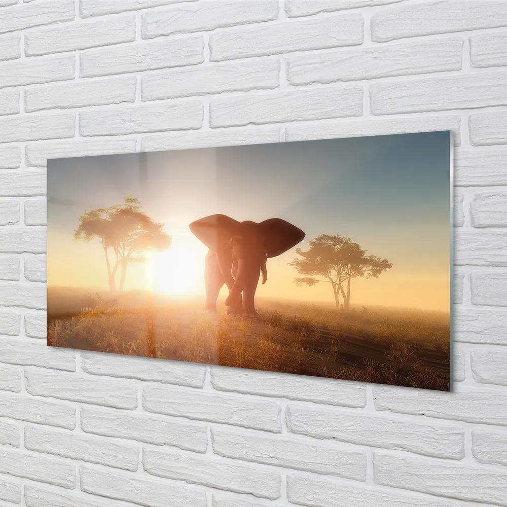Obraz plexi Sloní strom na východ 125x50 cm