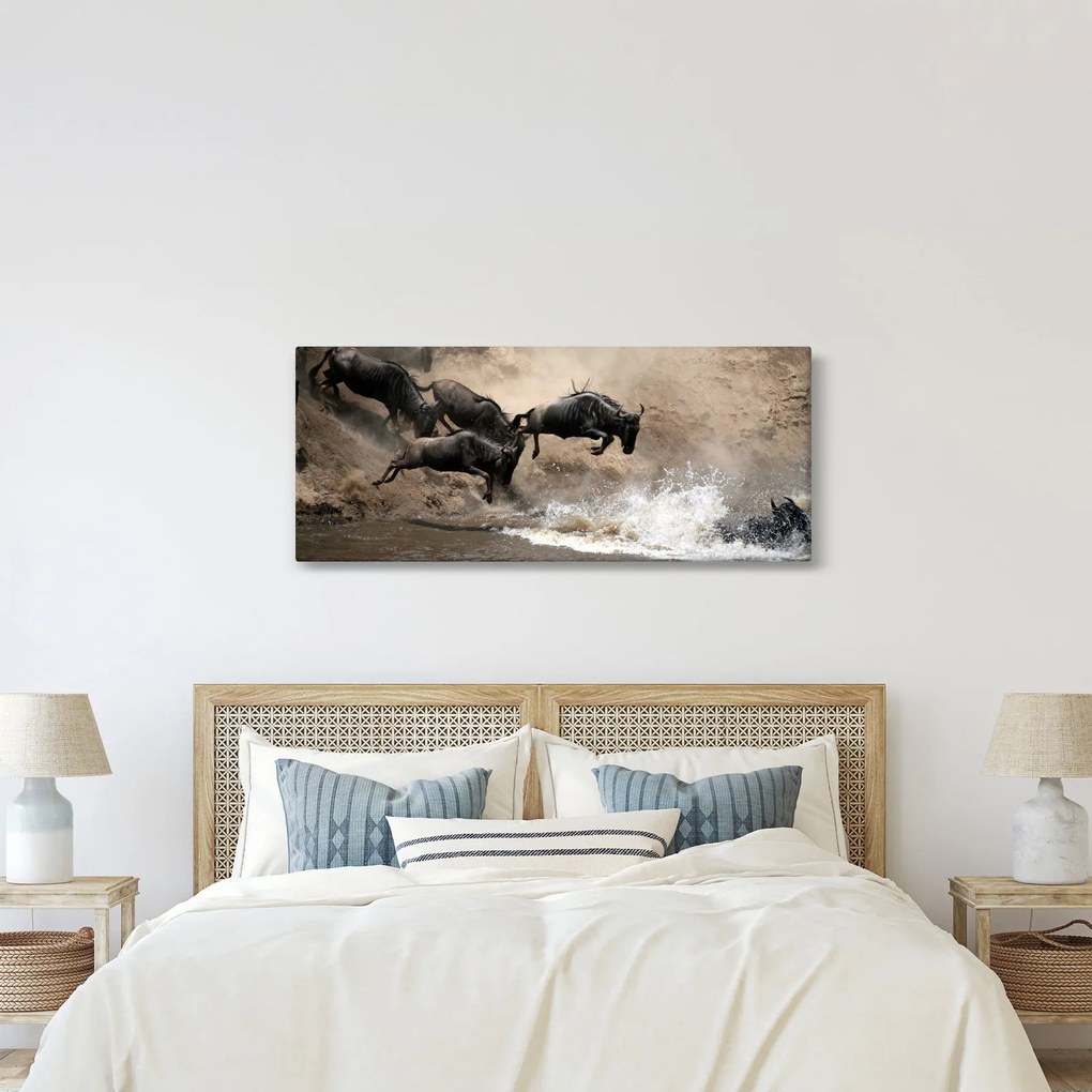 Obraz - Stádo pakoňov (120x50 cm)