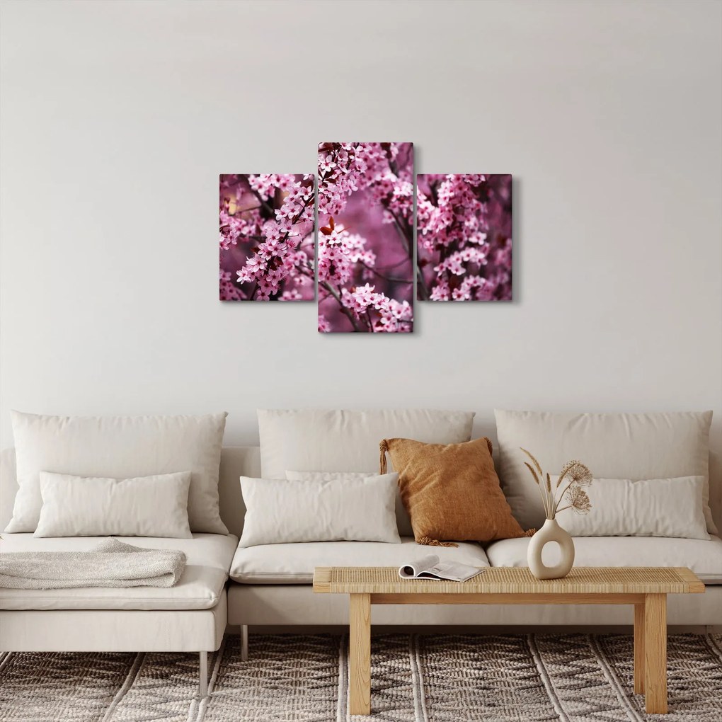 Obraz - Ružová sakura (90x60 cm)