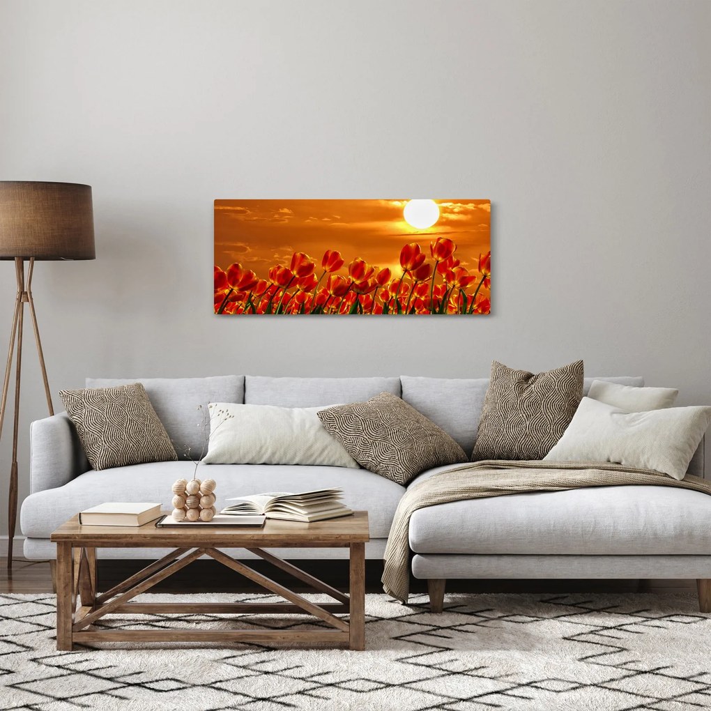 Obraz rozkvitnutého lánu s tulipánmi (120x50 cm)