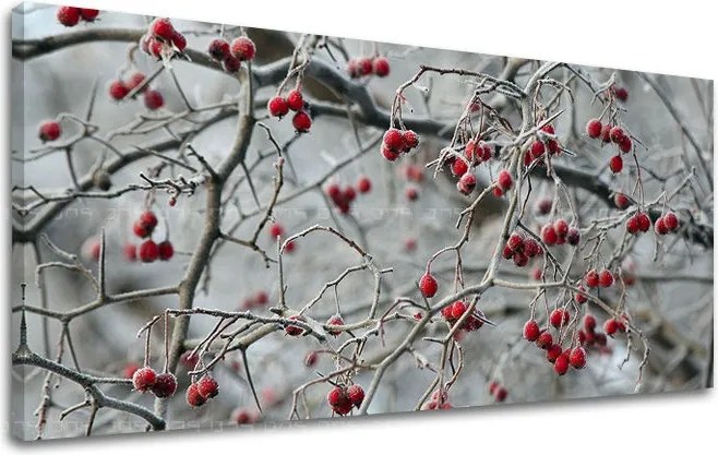 Obraz na stenu PANORÁMA STROMY