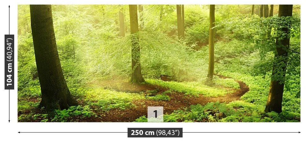 Fototapeta Vliesová Hmlistý les 104x70 cm
