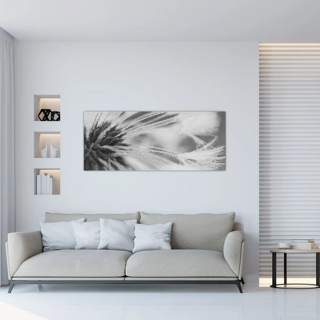 Obraz - Púpava (120x50 cm)
