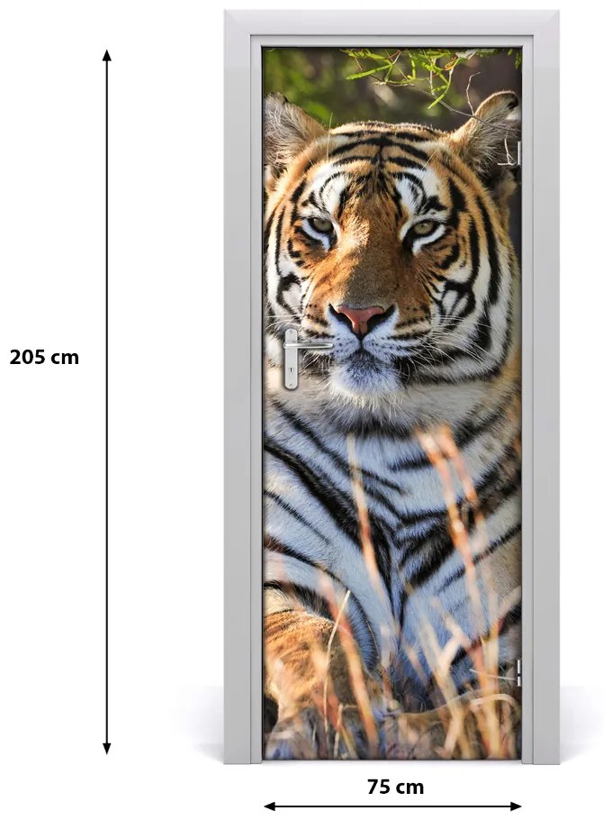 Samolepiace fototapety na dvere tiger 75x205 cm