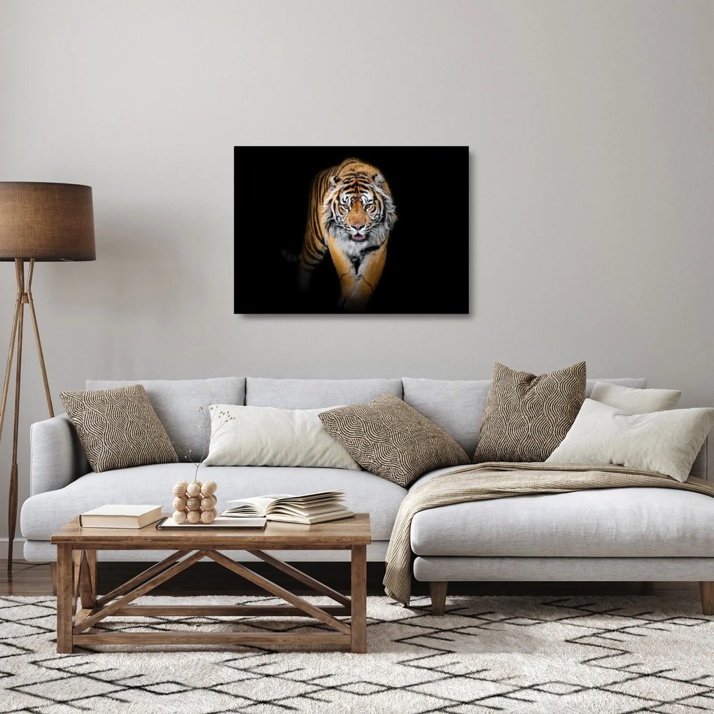 Sklenený obraz - Tiger (70x50 cm)