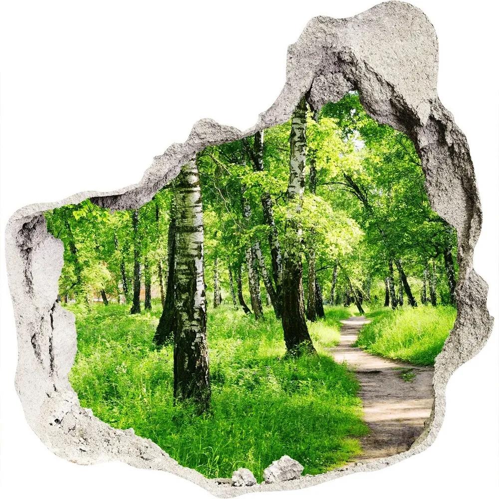 Nálepka fototapeta 3D výhľad Břízová les WallHole-75x75-piask-78692232