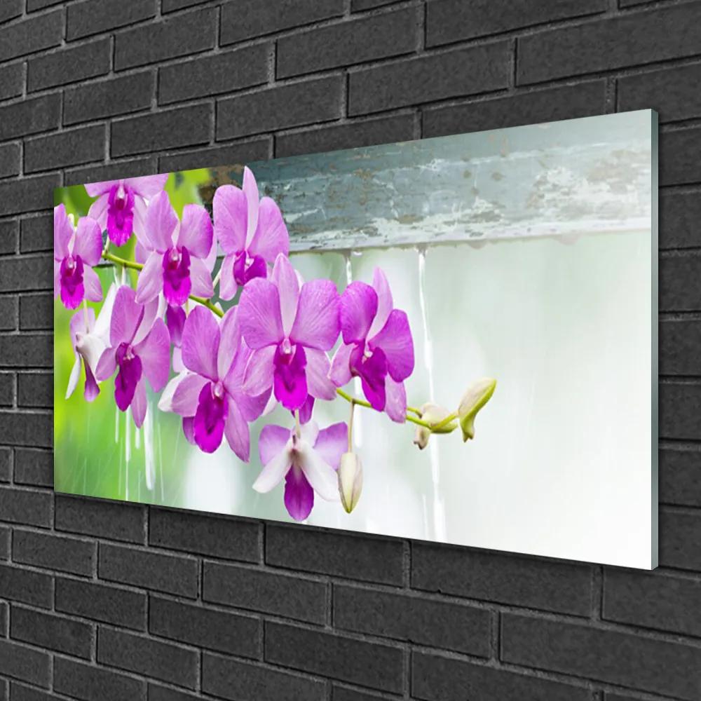 Skleneny obraz Orchidey kvapky príroda 125x50 cm