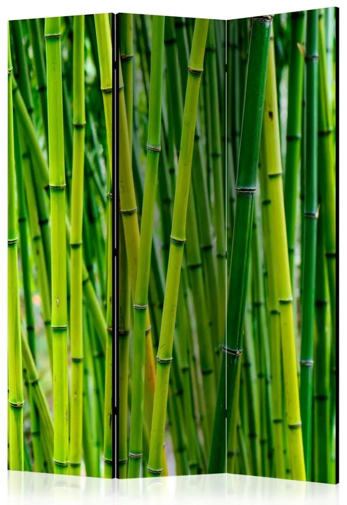 Artgeist Paraván - Bamboo Forest [Room Dividers]