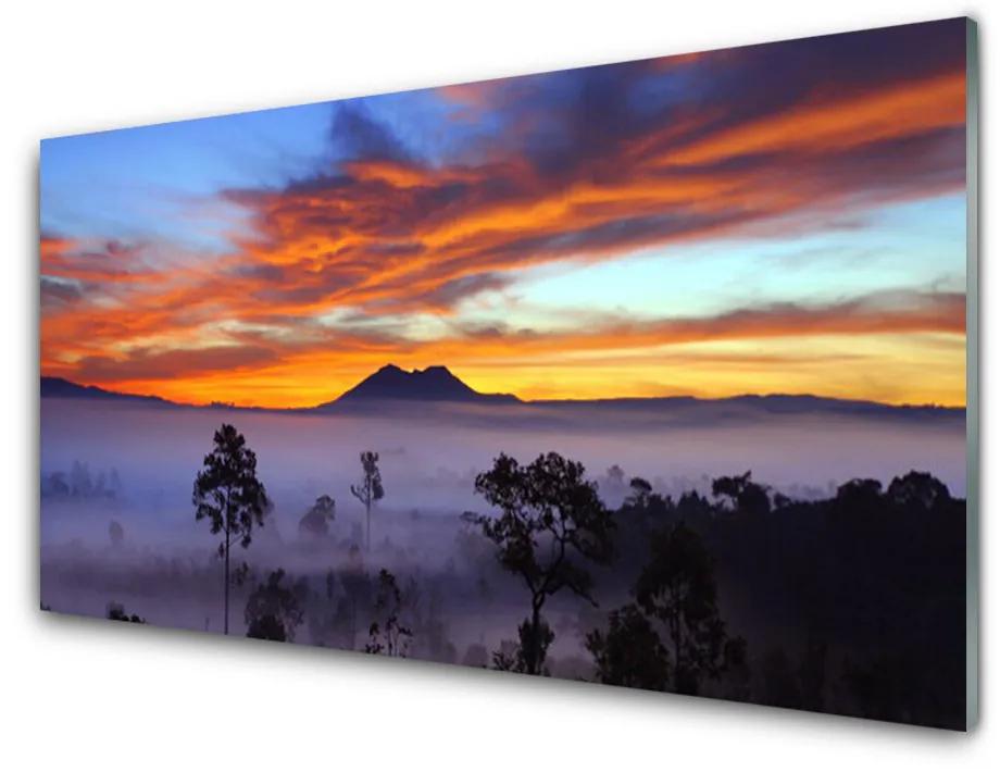 Obraz na akrylátovom skle Stromy hmla krajina 140x70 cm