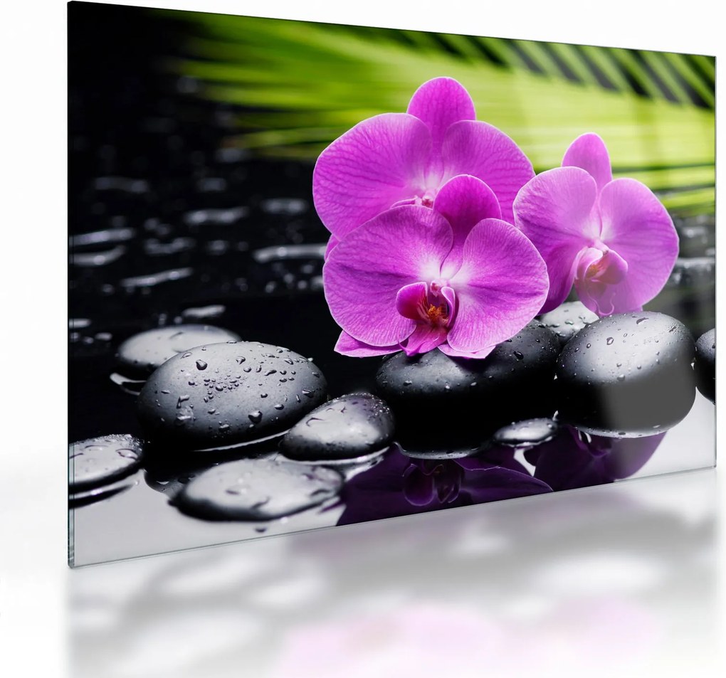 Sklenený obraz - Orchidey (70x50 cm)