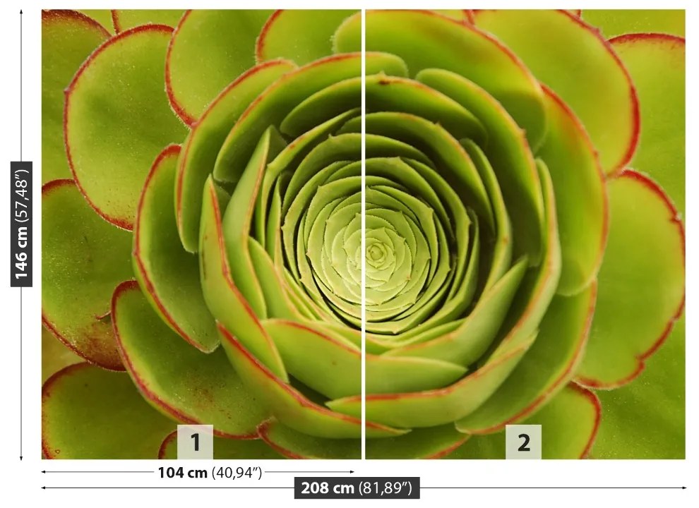 Fototapeta Vliesová Zelený kvet 104x70 cm