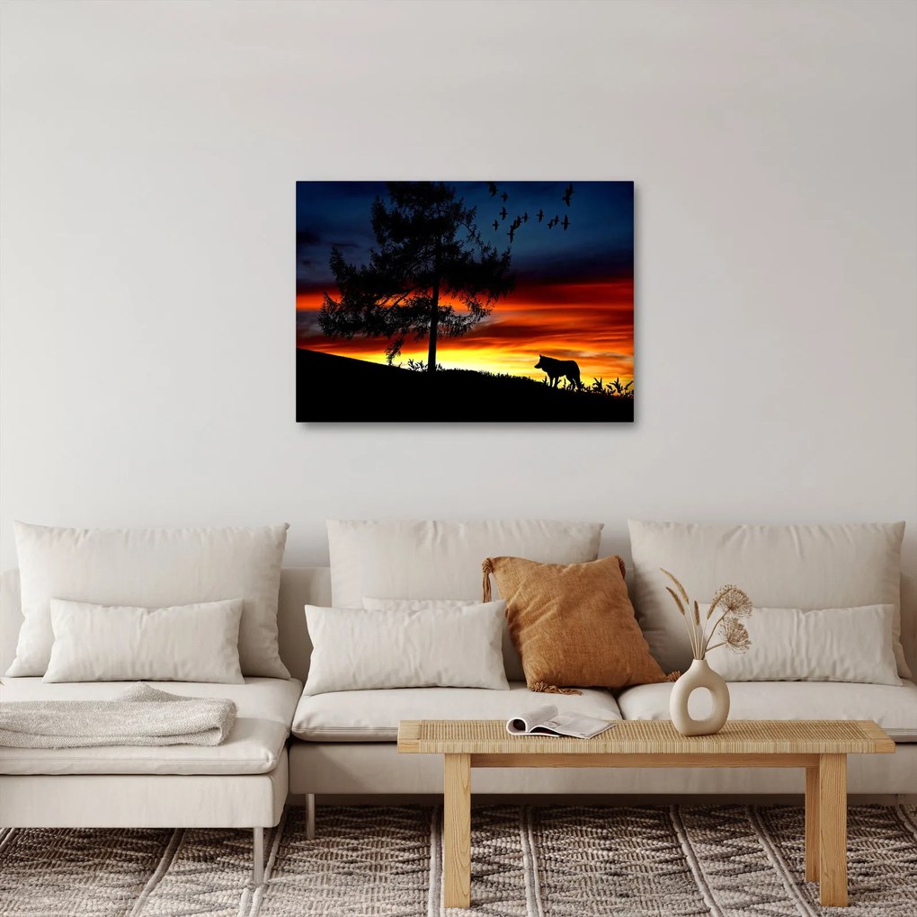 Obraz - Silueta vlka (70x50 cm)