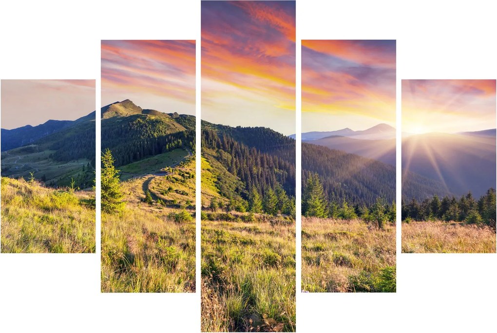 Obraz - Lesná krajina (150x105 cm)