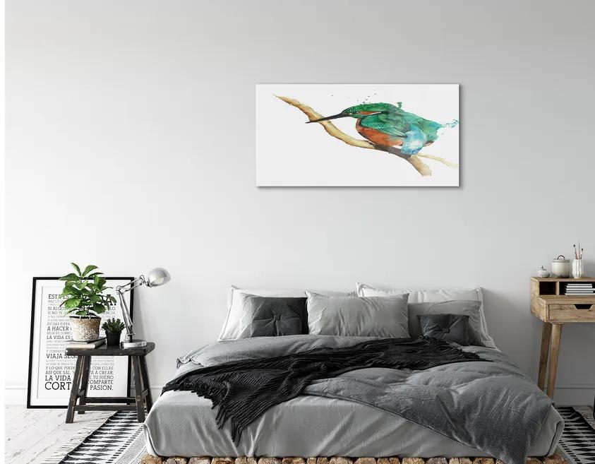 Obraz na akrylátovom skle Farebné maľované papagáj 100x50 cm