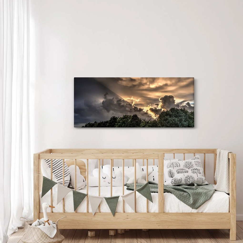 Obraz mračien a lesa (120x50 cm)