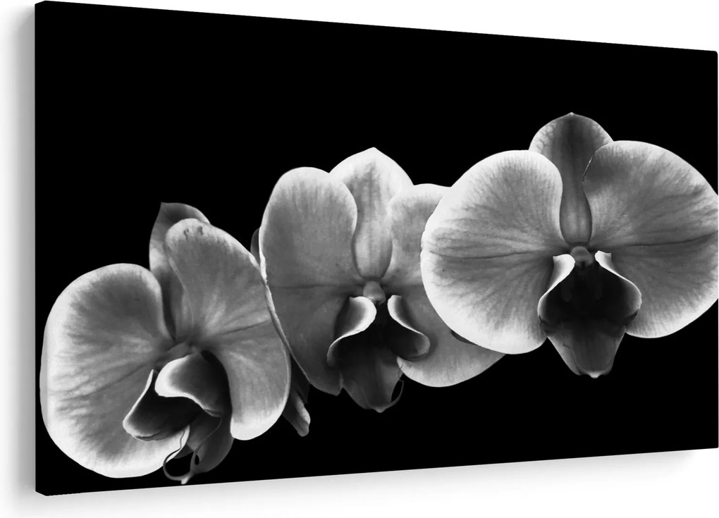 Obraz kvetu orchidey (90x60 cm)