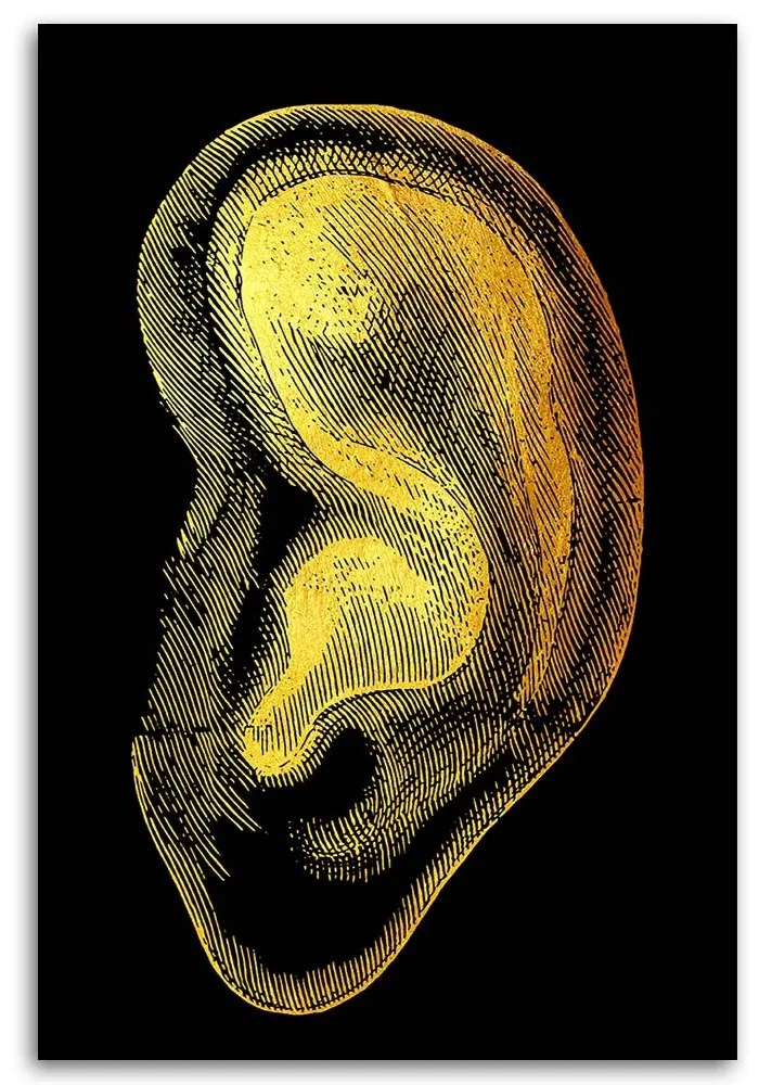 Gario Obraz na plátne Zlatá anatómia, ucho - Gab Fernando Rozmery: 40 x 60 cm