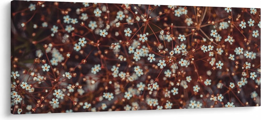 Obraz kvetu Nezábudky lesnej (120x50 cm)