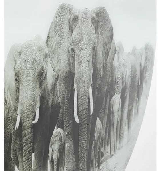 Elephant Walk sklenený obraz sivý Ø120cm