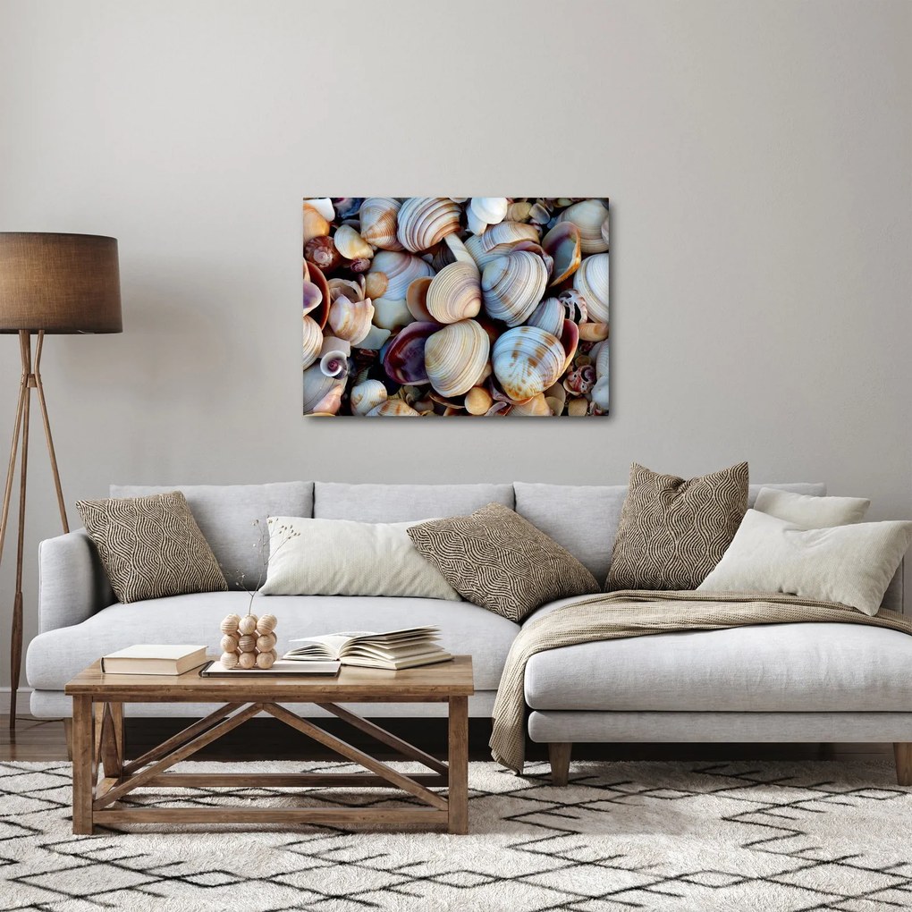 Obraz mušlí (70x50 cm)