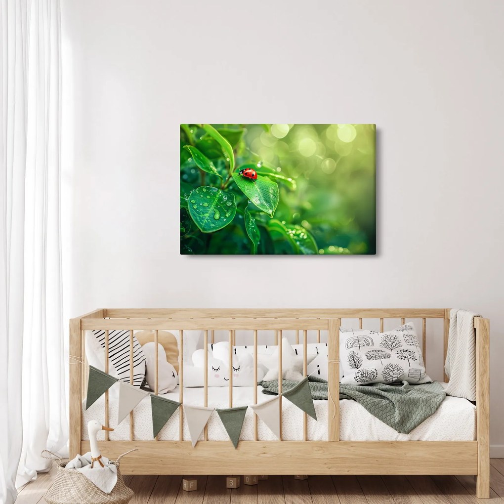 Obraz - Lienka (90x60 cm)