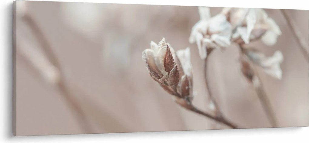 Obraz - Detail vetvy (120x50 cm)