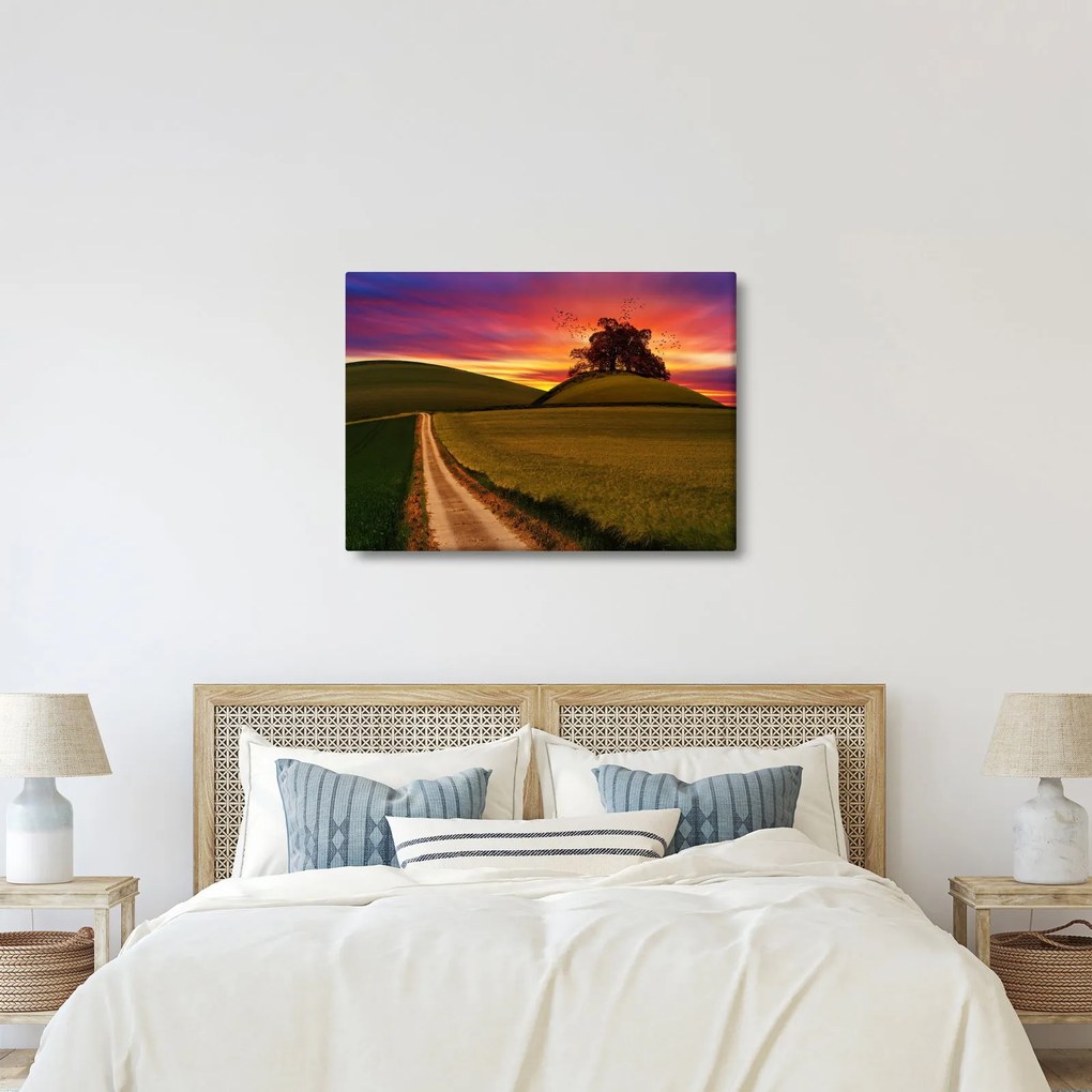 Obraz poľa pri západe slnka (70x50 cm)
