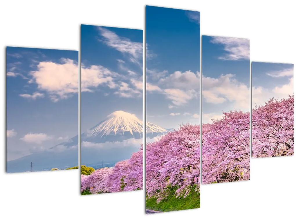 Obraz - Japonská jarná krajina (150x105 cm)