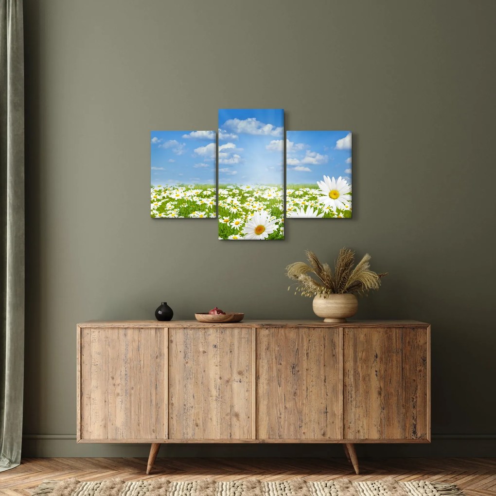 Obraz rozkvitnutej lúky s margarétkami (90x60 cm)
