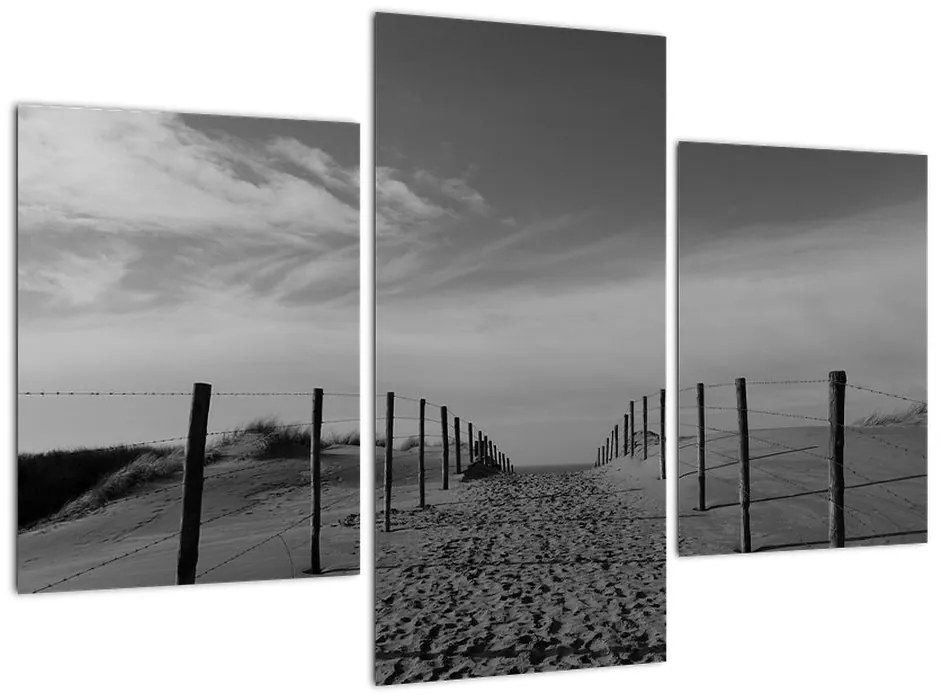 Obraz - cesta v piesku