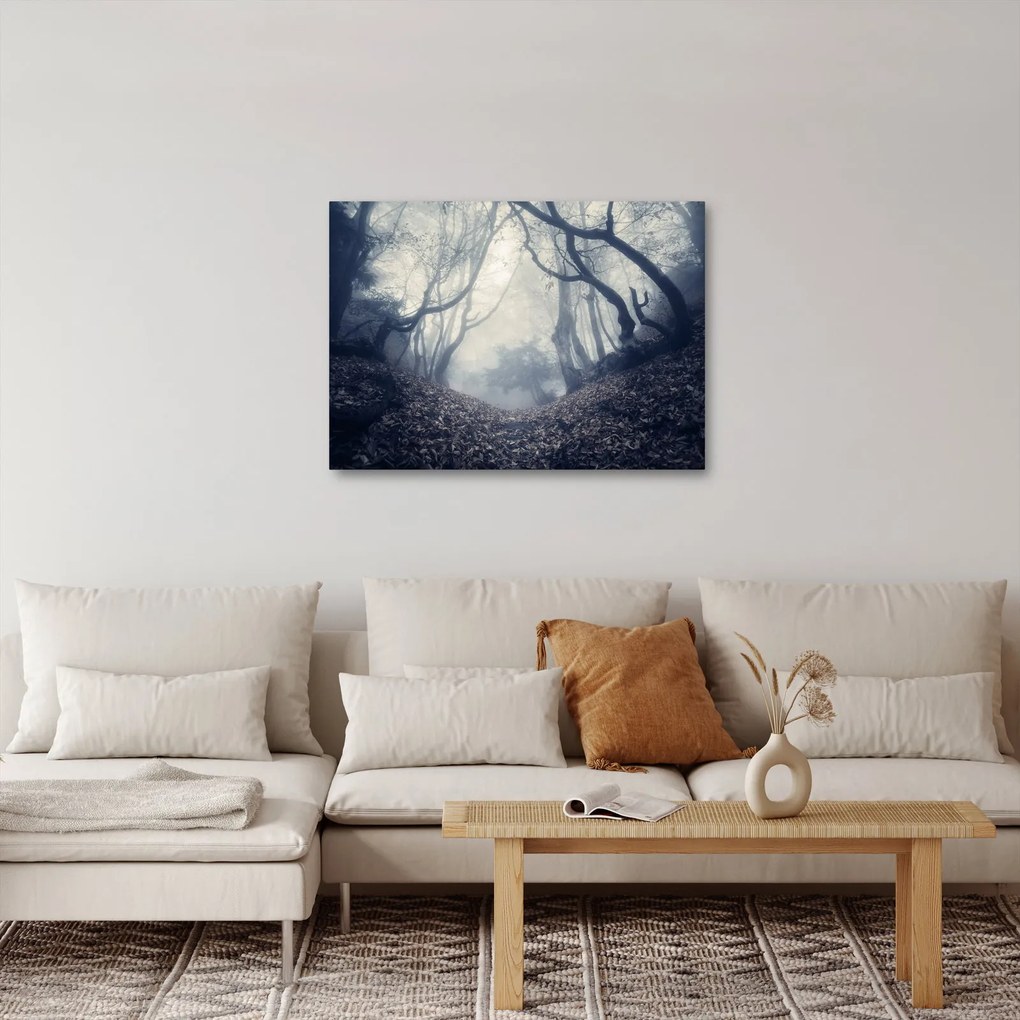 Obraz - Les v hmle (70x50 cm)