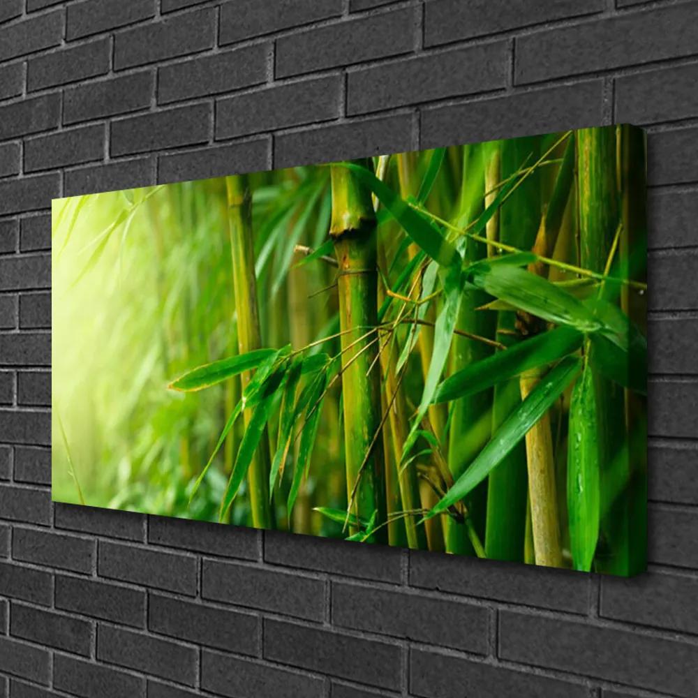 Obraz na plátne Bambus stonky rastlina 100x50 cm