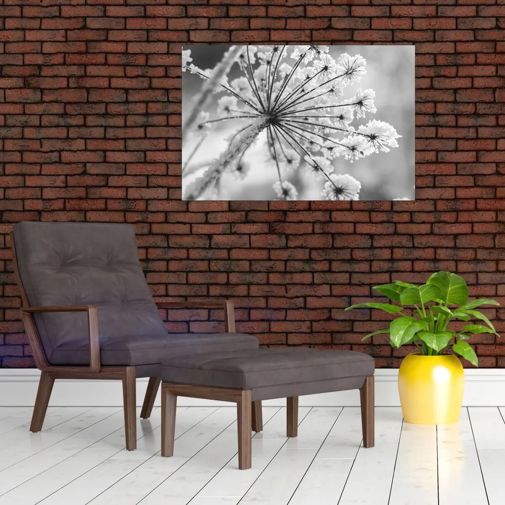Obraz - Kvetina v zime (90x60 cm)
