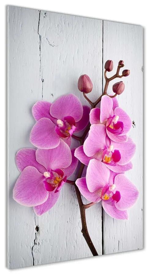 Foto obraz akrylové sklo Ružová orchidea pl-oa-70x140-f-118409675