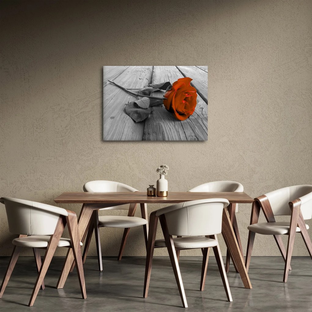 Obraz - Oranžová ruža (70x50 cm)