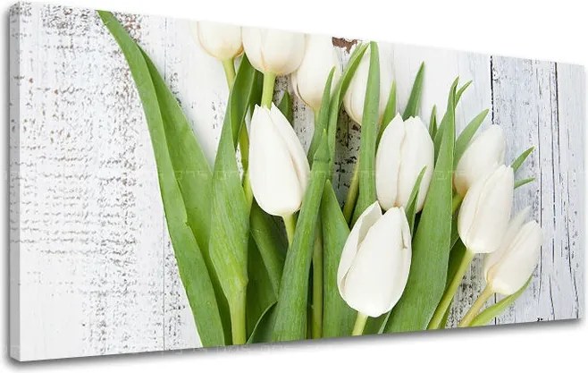 Obraz na stenu PANORÁMA KVETY KV036E13 - 60x120 cm