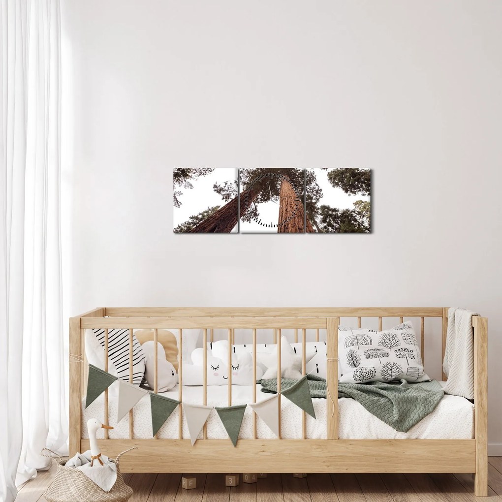 Obraz - Pohľad skrz koruny stromov (s hodinami) (90x30 cm)