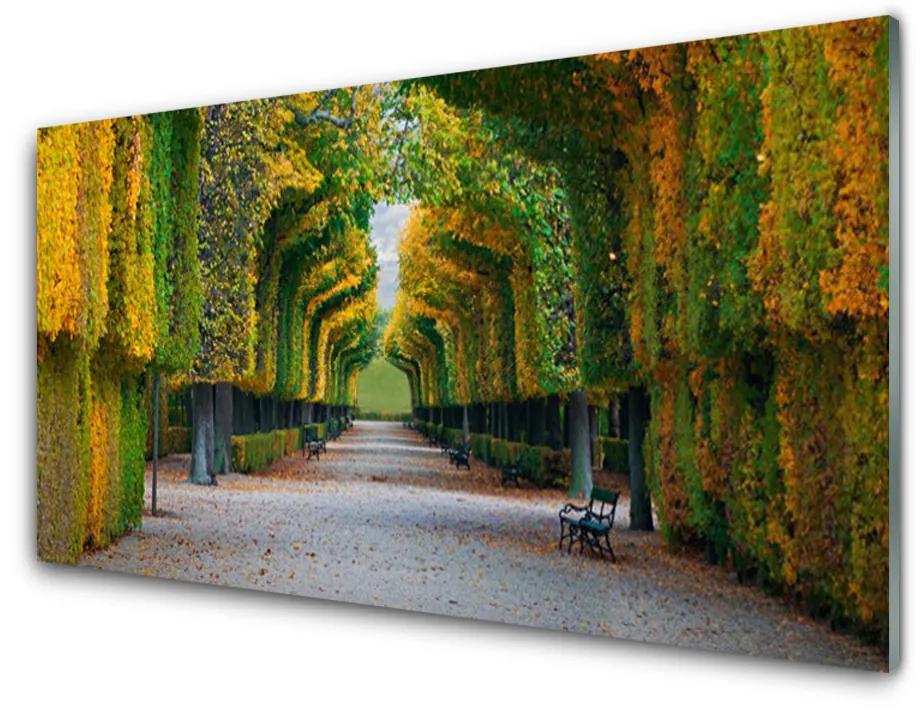Obraz na akrylátovom skle Park jeseň záhrada príroda 100x50 cm
