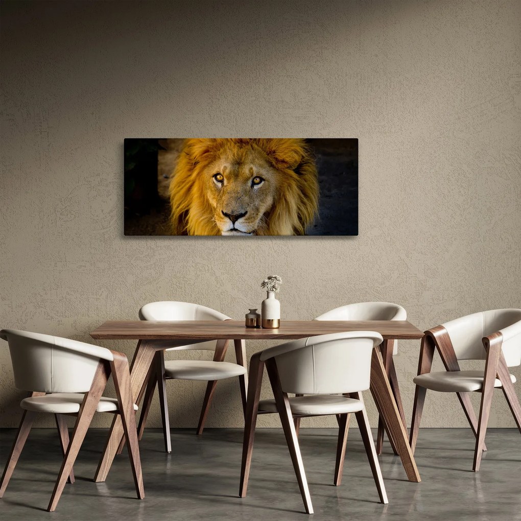 Obraz - Portrét leva (120x50 cm)