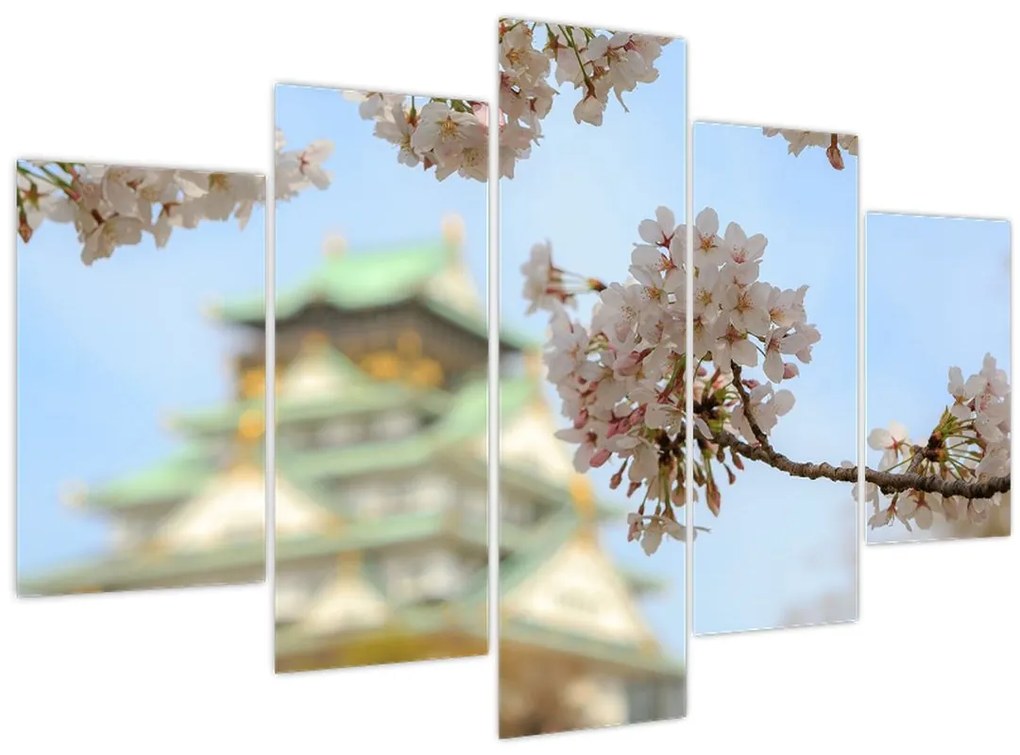 Obraz - Sakura (150x105 cm)