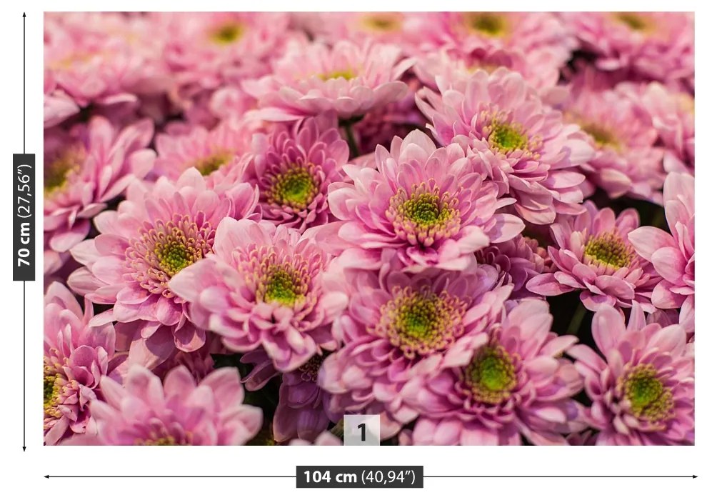 Fototapeta Vliesová Ružové chryzantémy 250x104 cm